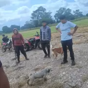 Crueldad animal: detuvieron al joven que mat� de un disparo a un perro en Los Alisos