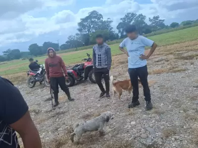 crueldad animal en los alisos