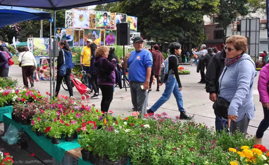 feria de las plantas