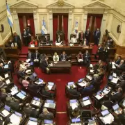 Senadores de La Libertad Avanza informaron que renunciarán al aumento de sus dietas