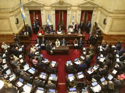 SENADO