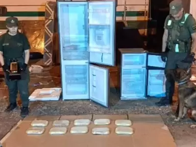 coca�na mudanza salta