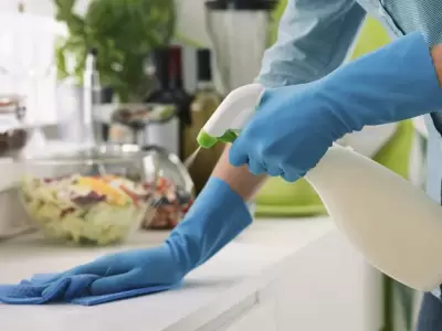 EMPLEO DOMESTICO