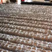 Elecciones en Jujuy: finaliz� el armado de urnas y se ultiman los preparativos para los comicios del 11 de mayo