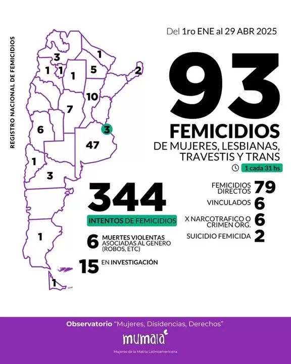 Registro nacional de femicidios