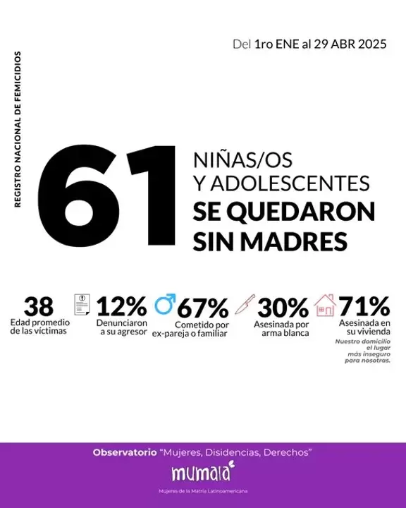 Registro nacional de femicidios