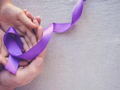 lazo violeta