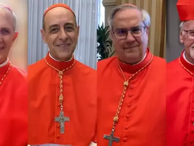 cardenales