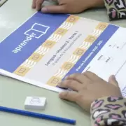 Pruebas Aprender: el 45% de los chicos de tercer grado de Jujuy está en el nivel deseable de lectura