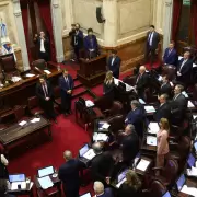 El Senado rechazó el proyecto de ley de ficha limpia