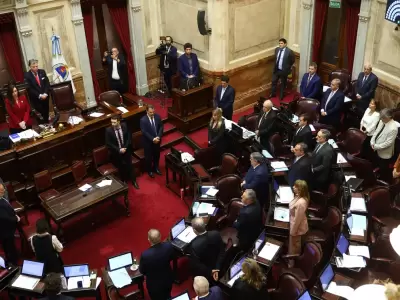 senado