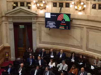 senado ficha limpia