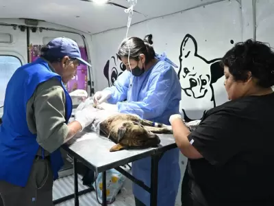 castraci�n san salvador