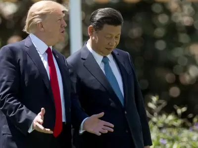 Donald Trump junto a su par chino, Xi Jinping