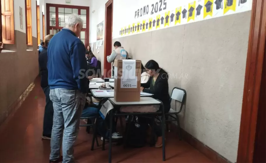 elecciones provinciales 11 de mayo de 2025