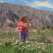 �Cu�les son los pueblos de Jujuy considerados los m�s lindos del mundo?