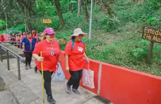 caminata parque bot�nico