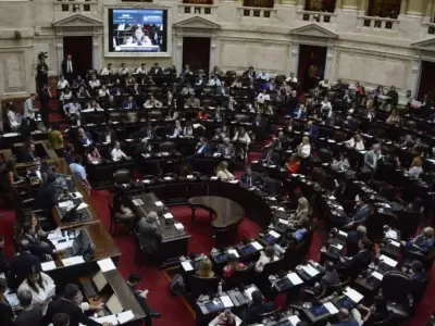 diputados
