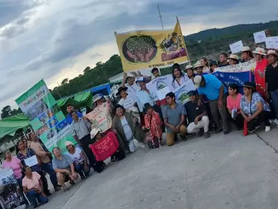 feria campesina