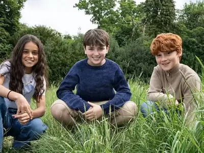 harry potter serie