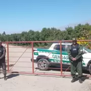 Conmoción en Tunuyán: rescatan a víctimas de trata por explotación laboral