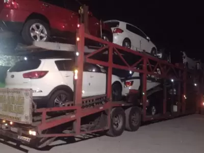 172 kilos de hojas de coca