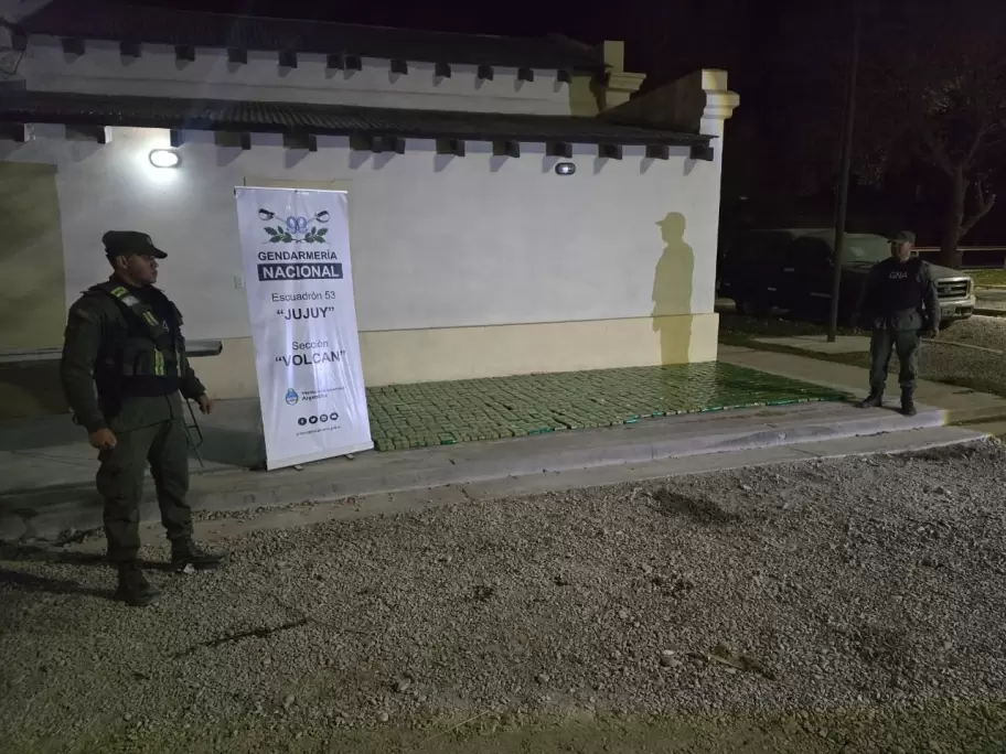 172 kilos de hojas de coca 1