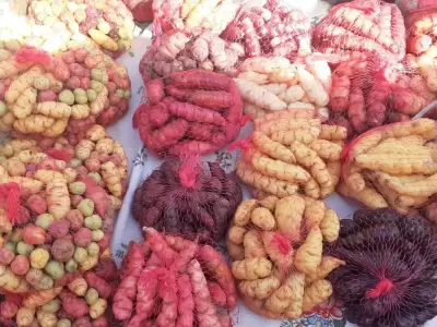 papines jujuy prensa de gobierno