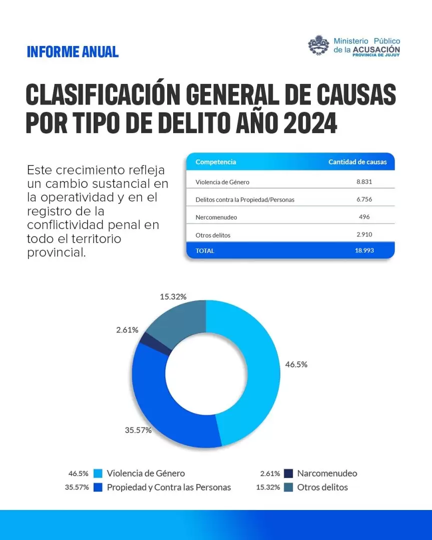 Clasificación general de causas por tipo de delito año 2024