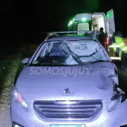 Un caballo suelto provoc� un siniestro vial en Ruta Nacional 34