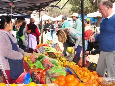 feria jujuy verduras frutas