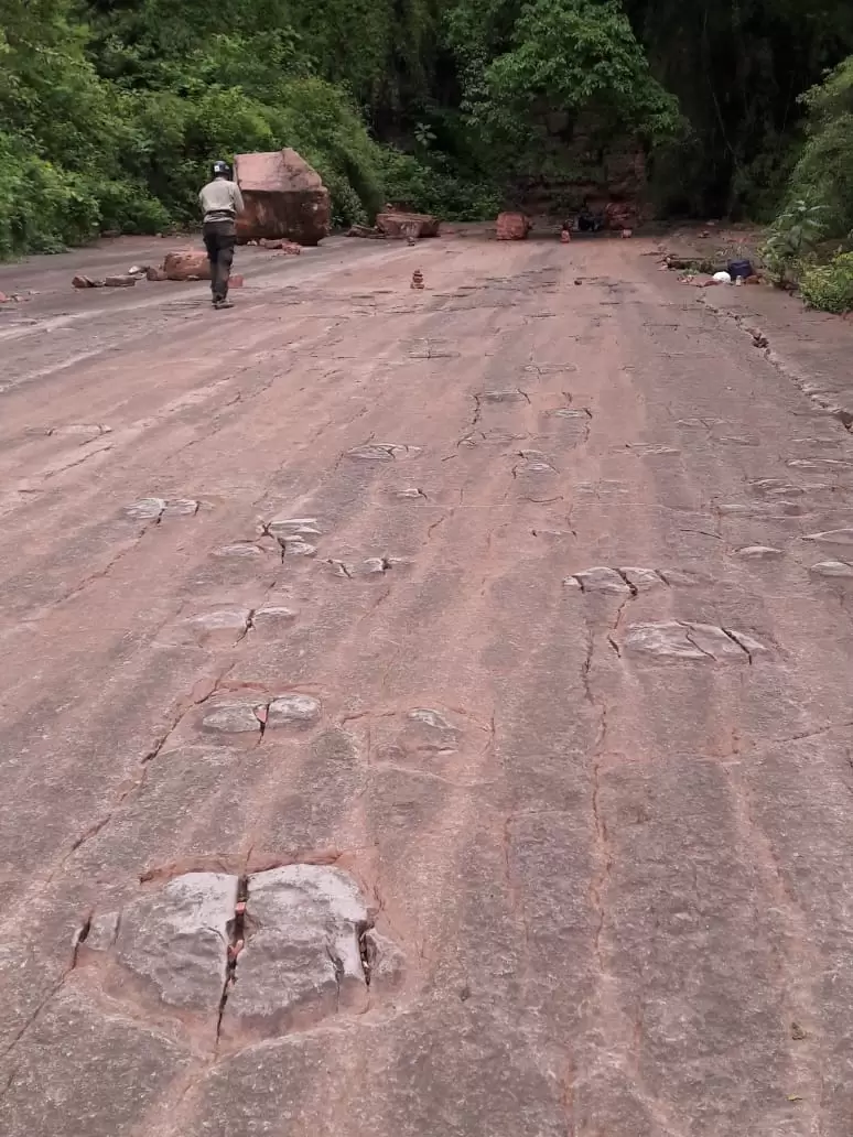 Huellas dinosaurios