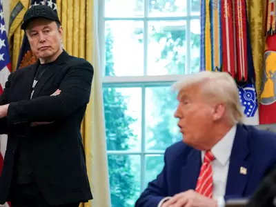 elon musk donald trump