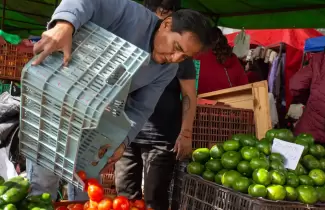 feria verduras jujuy frutas