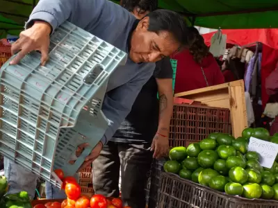 feria verduras jujuy frutas