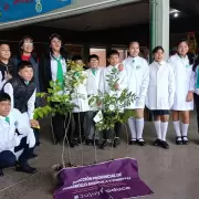 Jujuy entreg� y plant� 6000 �rboles en el �ltimo a�o para cuidar el ambiente
