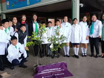 PLANTARON ARBOLES POR EL DIA DEL AMBIENTE