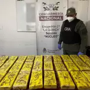 Golpe al narcotr�fico entre Salta y Jujuy: secuestraron casi 100 kilos de coca�na y detuvieron a dos personas