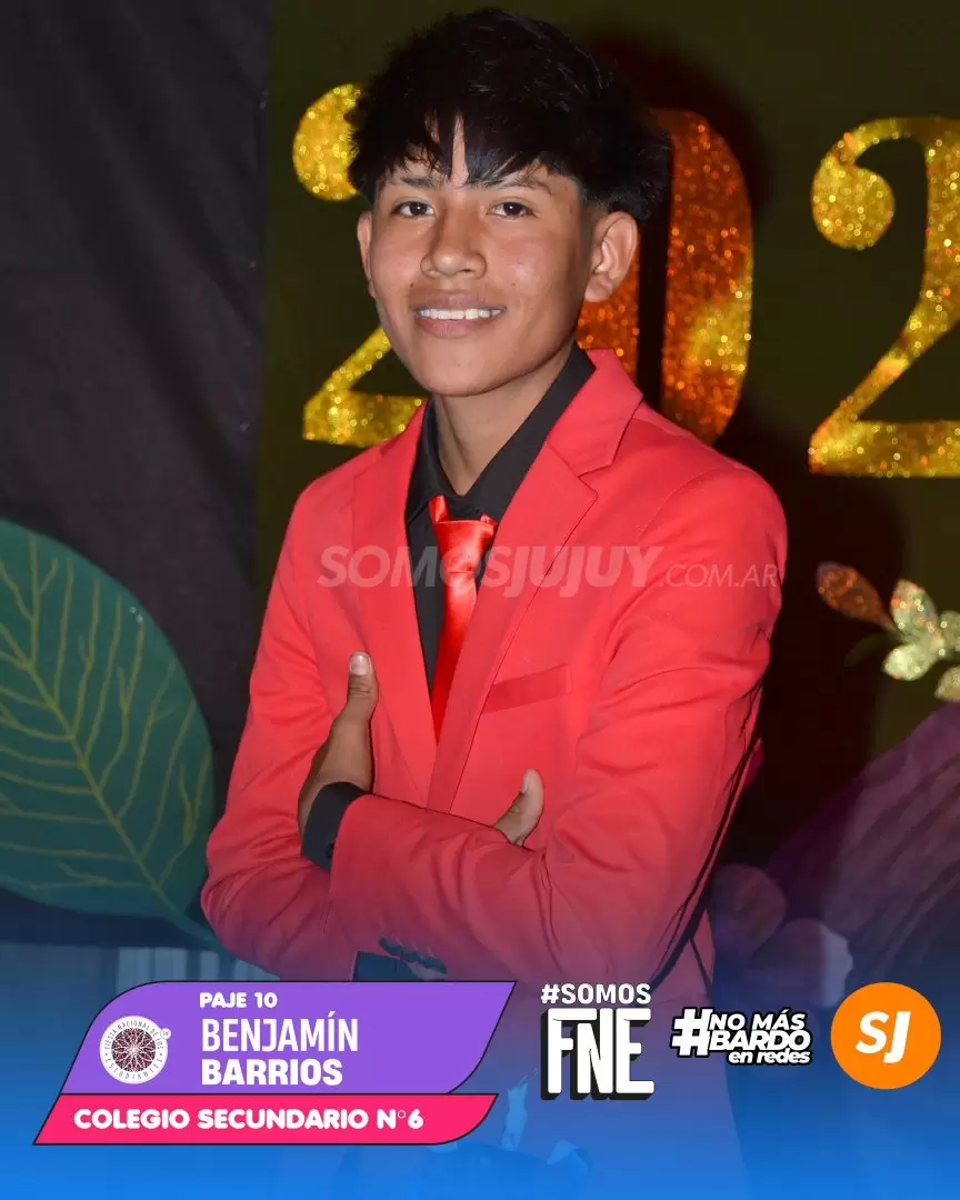 Paje 10 secu 6
