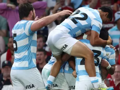 pumas