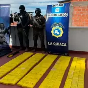 Destacan que una denuncia an�nima fue clave para incautar casi 500 kilogramos de coca�na en Jujuy