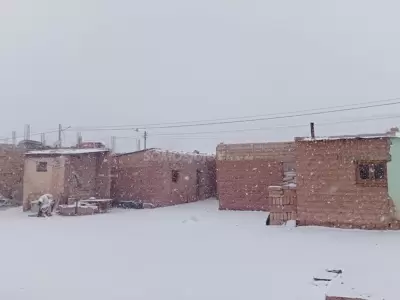 catua nieve