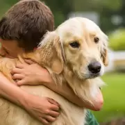 �Por qu� no se debe abrazar a los perros, seg�n veterinarios?