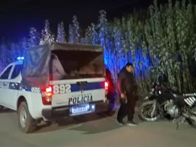 detenido alto comedero