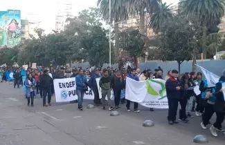 marcha universitaria