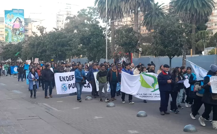 marcha universitaria