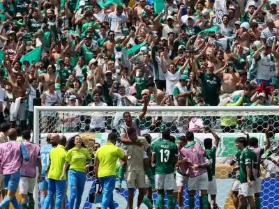 palmeiras clasificado