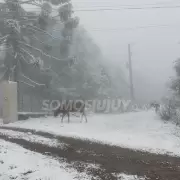 Frío extremo en Jujuy: hasta cuándo hay probabilidad de nevadas y qué dice el pronóstico para las próximas horas
