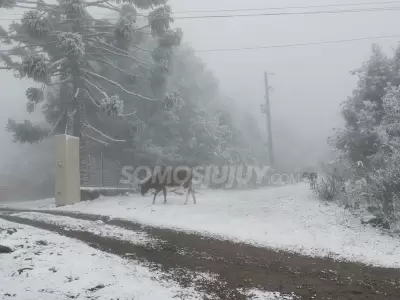 nieve en Yala
