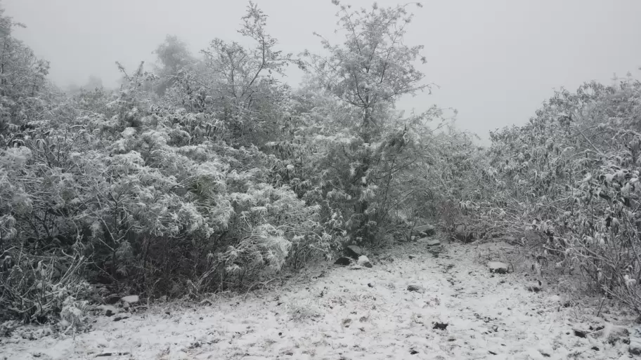 Nieve en Yala